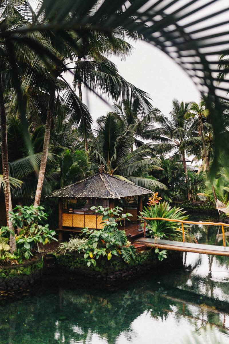 Take Your Photography to The Next Level with This Drone Take Your Photography to The Next Level with This Drone